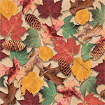 Quilting Treasures - North Woods - Leaves & Pinecones, Beige