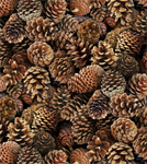 Elizabeth Studio - Landscape Medley - Pinecones, Brown