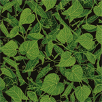 Timeless Treasures - Cottage - Leaves & Vines Metallic, Black