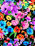 Timeless Treasures - Rainbow Dream - Floral, Black