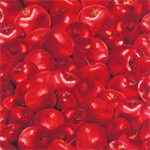 Timeless Treasures - Fruit - Packed Apples, Red