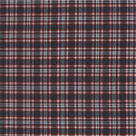 Timeless Treasures - Plaid - Small Plaid, Navy/Red