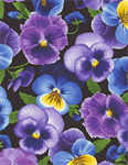 Timeless Treasures - Pansy Paradise - Medium Pansies, Black