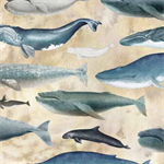 Quilting Treasures - Siren's Call - Whales, Ecru