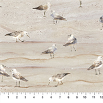 Northcott - Swept Away - Gulls on Sand, Tan