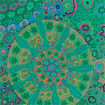 Free Spirit - Kaffe Fassett - Millefiore, Jade