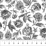 Northcott - Bloom - Large Black Peonies, White