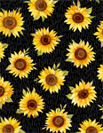 Wilmington Prints - Sunflower Splendor - Sunflower Toss, Black