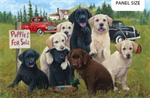 Northcott - Puppies For Sale - 30^ Puppies Panel, Multi