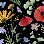 Quilting Treasures - Wildflowers - Wildflowers, Black