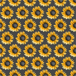 Blank Quilting - Show Me The Honey - Sunflowers, Gray