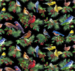 Elizabeth Studio - Birds & Berries - Colorful Birds, Black